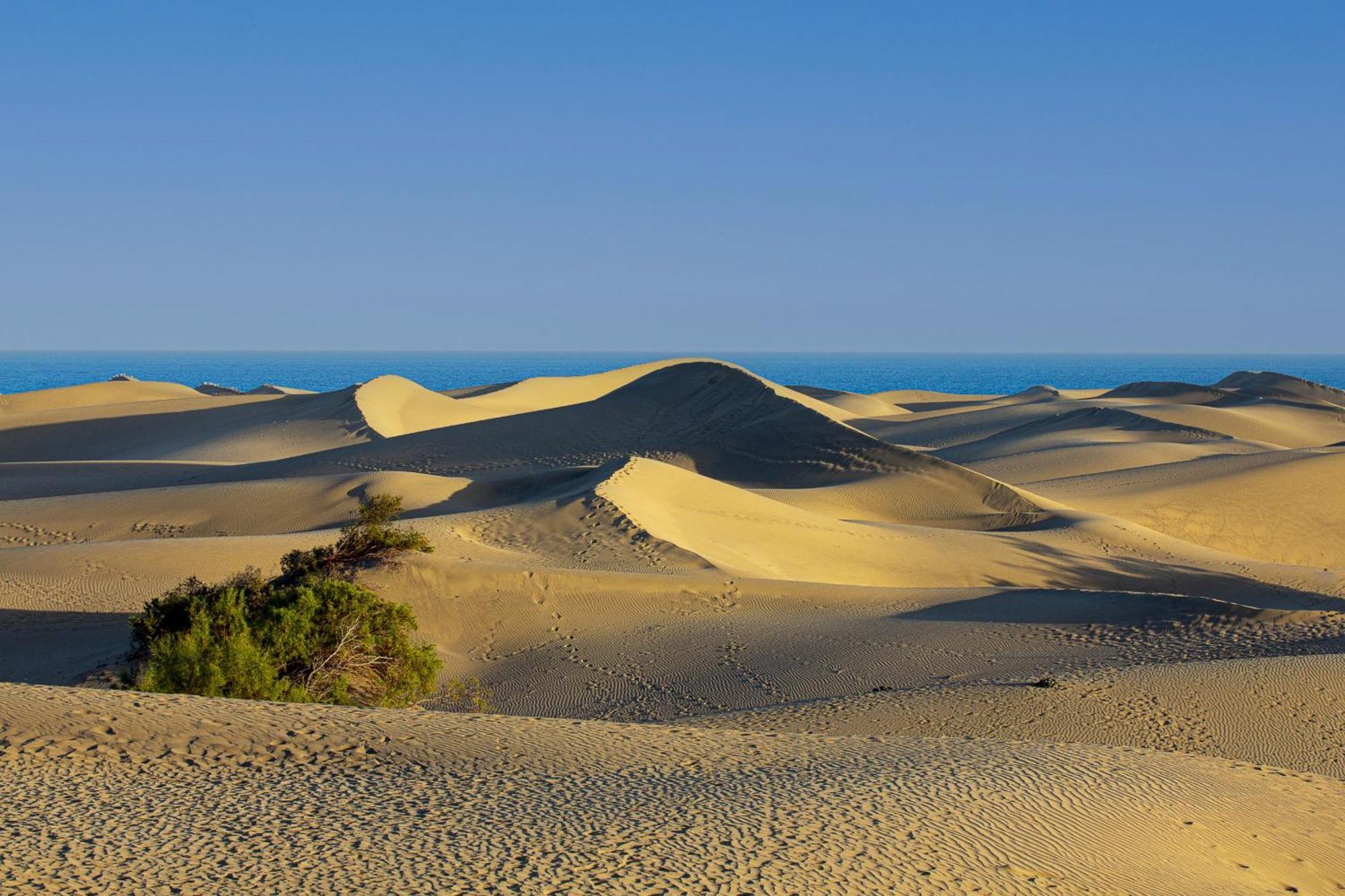 Bungalow Beside The Maspalomas Dunes By Pride Holiday Rentals San Bartolome de Tirajana  Exterior photo